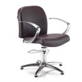 REM Evolution Backwash Chair