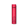 amika The Protector Color Protect + Strengthen Shampoo - 275ml