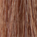 the gloss 60ml 5.87 moka violet brown
