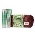 Joico Scalp Vitality Haircare Gift Set