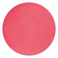 NSI Secrets Shades Powder My Lips are Sealed 5g