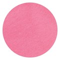 NSI Secrets Shades Powder Don't Kiss and Tell 5g
