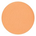 NSI Secrets Shades Powder In The Hot Seat 5g