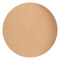 NSI Secrets Moondust Powder Tsuki 5gm