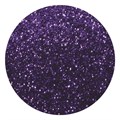 NSI Secrets Sparkle Glitters Gleam 5g