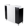 Scorpion Alesi Reception Desk