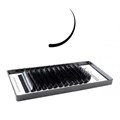 Kalentin D+ Curl Lashes