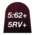 quint:essential 5:62+ 5RV+ 60ml