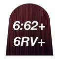 quint:essential 6:62+ 6RV+ 60ml
