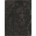 REM Laminate A Palazio Marble