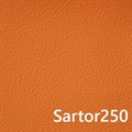 PLY SARTOR 250