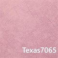 TEXAS 7065