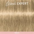 Profession Blonde Expert 100.2+ 60ml