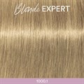 Profession Blonde Expert 1000.1 Blonde A