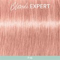 Profession Blonde Expert P.16 Pastel Ash