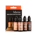 lash fx HiBrow Brow Stain Colour Collection - 4 Pack