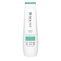 Biolage Scalp Sync Clarifying Shampoo for Oily Scalp  250ml