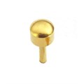 Caflon Regular Gold Studs