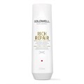 Goldwell Dualsenses Rich Repair Shampoo 250ml