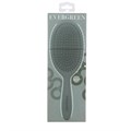 Framar Neutrals Detangle Brush Evergreen