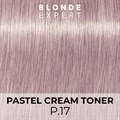 BLONDE EXPERT P.17 Ash Violet