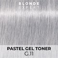 BLONDE EXPERT G.11 Intensive Ash