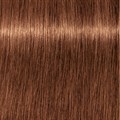 PCC Fashion 6.34 Dark Blonde Gold Copper