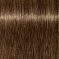 PCC Fashion 6.35 Dark Blonde Gold Mahago