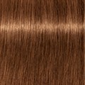PCC Intense Coverage 6.8+ Dark Blonde Ch