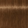PCC Fashion 7.8 Medium Blonde Chocolate 