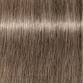 PCC Cool & Neutral 8.1 Dark Blonde Ash 6