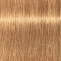 PCC Fashion 9.3 Very Light Blonde Gold 6