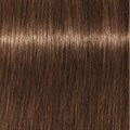 Xpress Color 6.03 Dark Blonde Nat Gold