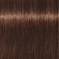 Xpress Color 6.38 Dark Blonde Gold Choc