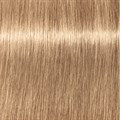 Xpress Color 8.03 Ligt Blonde Natl Gold