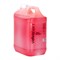 Velvatex Cherry Backwash Shampoo - 4.5L