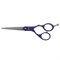Agenda STR Fusion Scissor 5.5" Purple